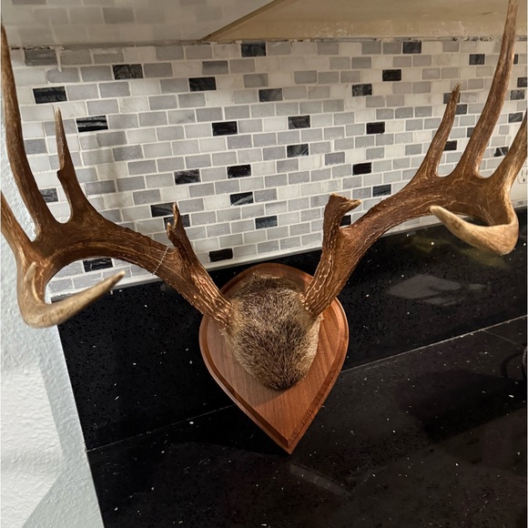 Rustic Brown Whitetail Deer Antler Wall Decor